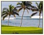 Beaches and Backwaters of Kerala